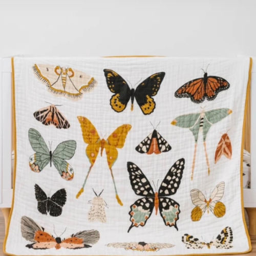 Butterfly Essential Bundle