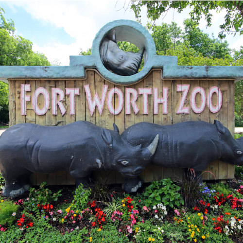 FW Zoo