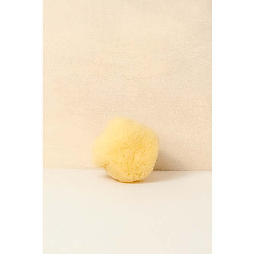 Facial Sea Sponge