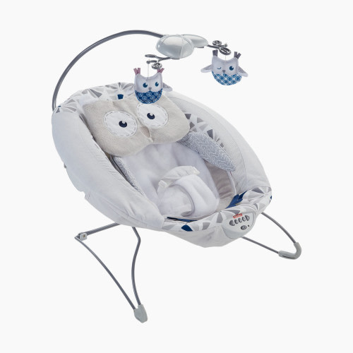 Fisher-Price Deluxe Bouncer - Owl Love You
