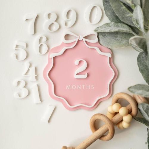Interchangeable Acrylic Bow Monthly Milestone Markers | Matching Birth Announcement Sign | 1 Month-1 Year Milestone Markers |Baby Photo Prop
