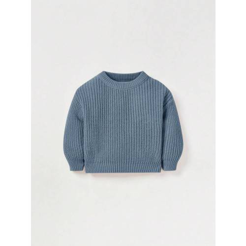 Cozy Pixies Infant Casual Pullover Crew Neck Long Sleeve Sweater Fall Winter | SHEIN USA