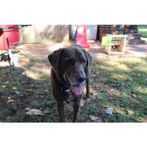 Barley Walk/Care Fund