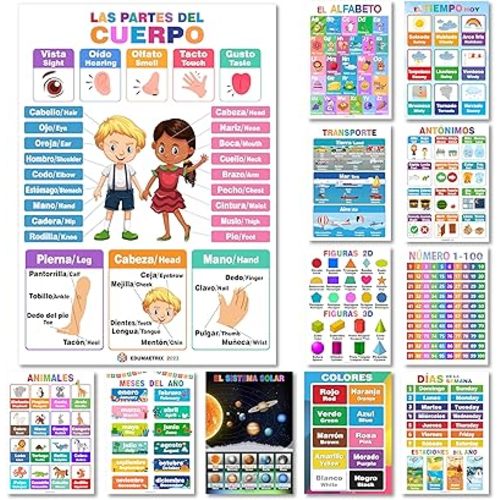 12 Spanish English Bilingual Educational Posters Water Proof Learning Chart for Preschool, Kindergarten, 1st Grade, Classroom Decoration, Alpabet, Alfabeto, Numbers, Seasons, Colors, Month of the