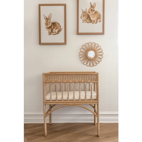 Eden Baby Bassinet