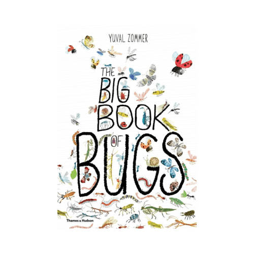 The Big Book of Bugs by Yuval Zommer - Book - Fs - Miscellaneous