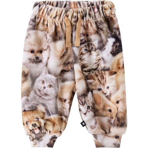 Baby Brown Simeon Sweatpants