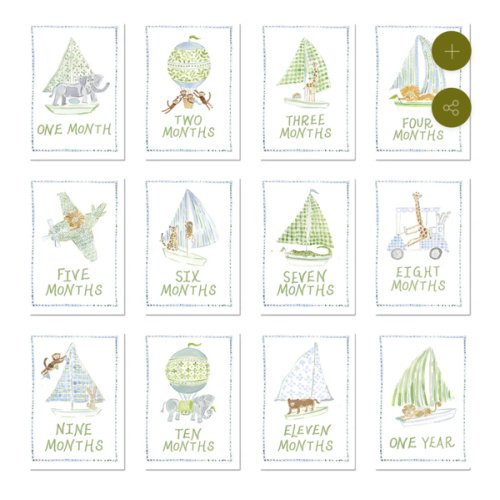 Baby Milestone Cards: Menagerie Blue Set