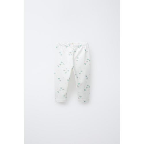 TURTLE PRINT LEGGINGS - Sea green | ZARA United States