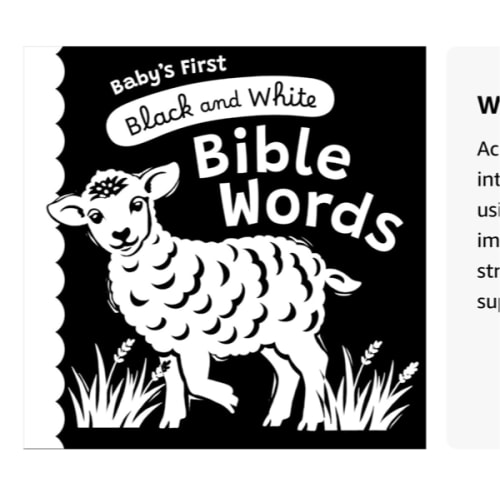 Baby’s First Black and White Bible Words: A High-Contrast Board Book