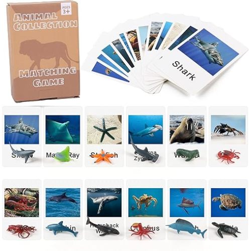 MEROCO Montessori Animal Match Game Cards Marine Animal Matching Montessori Language Materials Toddlers Preschool Educational Learning Toys NEWT011