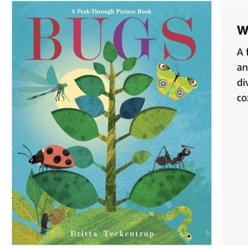 Bugs: A Peek-Through Picture Book