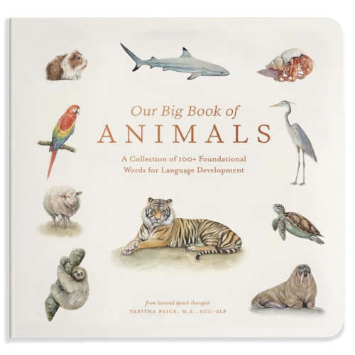 Our Big Book Of Animals - Tabitha Paige