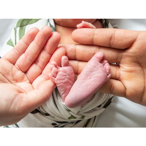 Playtime and Library Fund