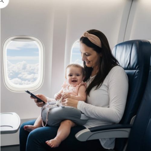 The Winglet®