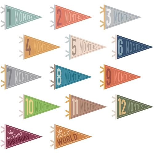14 Pcs Baby Milestone Pennant Signs Monthly Milestone Banner Flags
