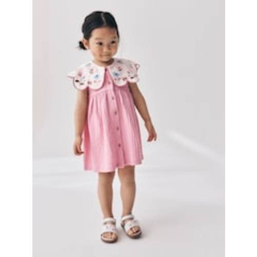 Buy Pink Collared Summer Dress (3mths-7yrs) from Next USA