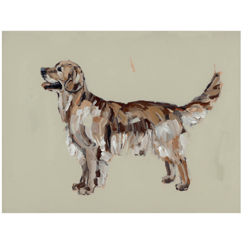 "Golden Retriever Dark" on paper 17x15 Burl Frame