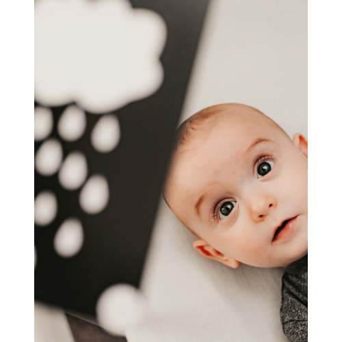0+ Month Newborn Sensory Cards