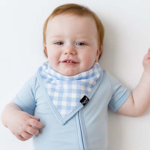 Bib in Gingham Breeze