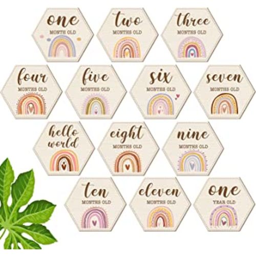 Amyhill 13 Pcs Wooden Baby Monthly Milestone Cards Signs Double Sided Milestone Discs Baby Shower Boho Photo Props Gifts Birth Announcement Signs Pregnancy Journey Growth Marker(Rainbow)