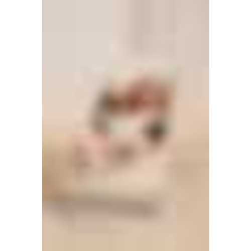 BabyBjörn Bouncer Light Beige