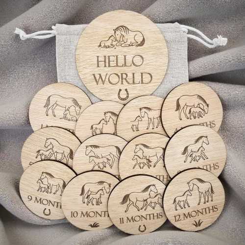 Horse Baby Milestone Discs – Wooden Monthly Photo Props – Equestrian Newborn Gift Set – Foal Nursery Keepsake – Hello World Disc