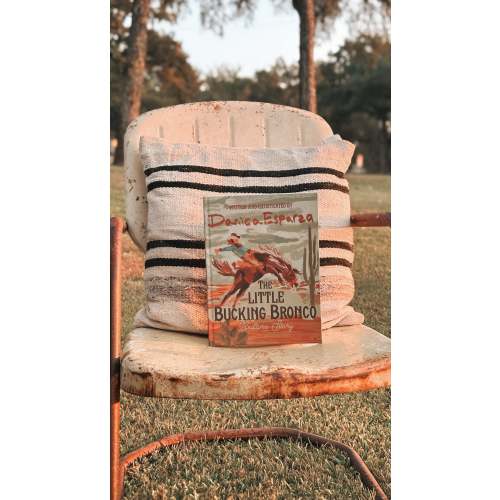 The Little Bucking Bronco