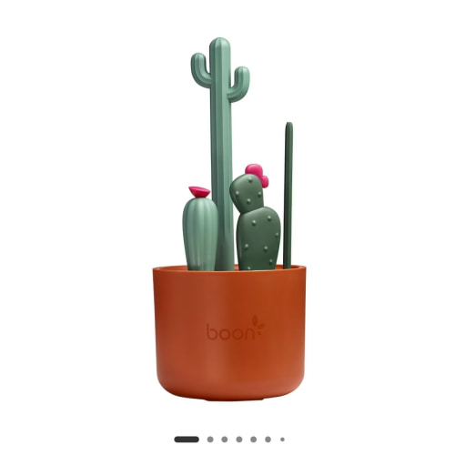 "cactus bottle brush"