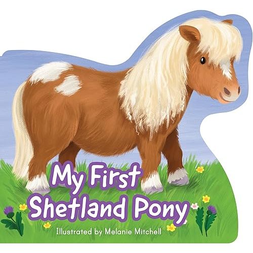 My First Shetland Pony (Picture Kelpies) Board book – July 2, 2024