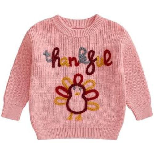 Toddler Baby Boy Girl Thanksgiving Sweater Turkey Embroidered Long Sleeve Chunky Knit Pullover Fall Winter Clothes