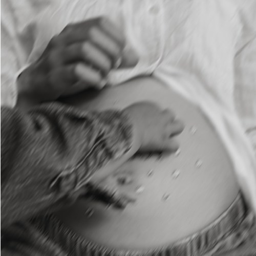 Newborn / Family Photos