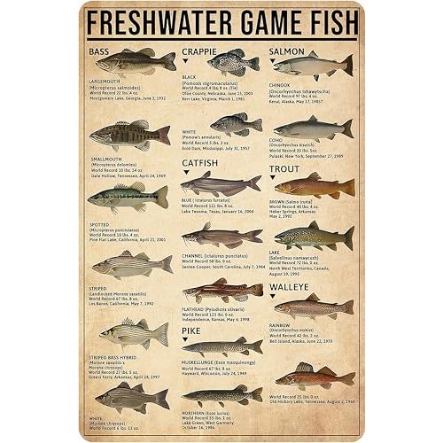 Smilelife Boy's Fishing Gifts Vintage Fresh Water Gamefish Knowledge Tin Sign for Man Cave Boys Hunting Room Bedroom Lake House Cabin Wall Art Decor 8x12 Inch (3069)