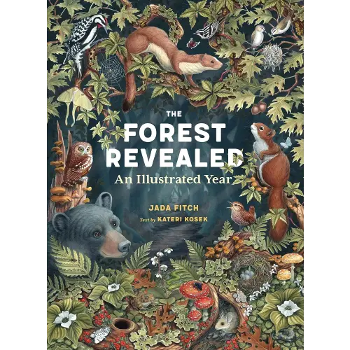 The Forest Revealed: An Illustrated Year