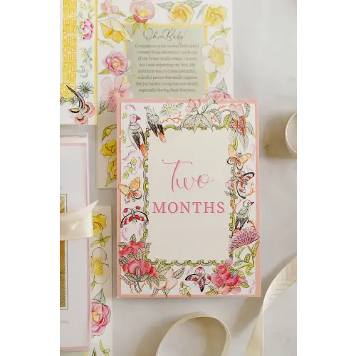 Chinoiserie Milestone Cards to Capture Baby's First Year - Celebrate Each Month with Watercolor Art — CoCo Zentner Art