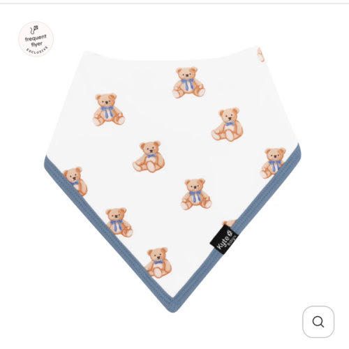 Bib in Teddy Bear