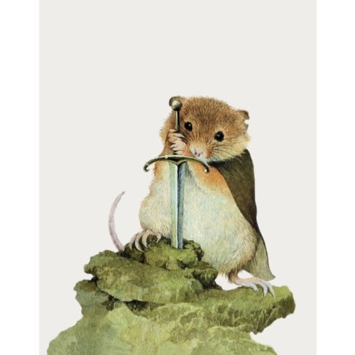 Mouse And Sword by Lily Jones