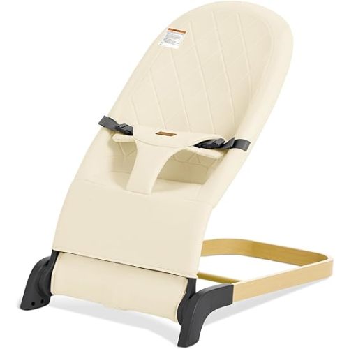 Baby Bouncer