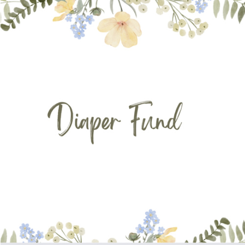 Diaper Fund