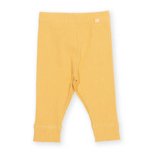 Little Ted Leggings | Kite Clothing