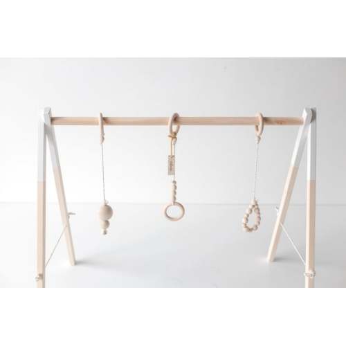 Gym Hanging Toys
