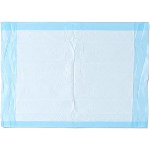 Medline Disposable Underpads 17 x 24 inch (300 Count), Baby Changing Pad for Changing Table, Small Puppy Pad, Pee Pad for Dogs, Ultra Lightweight Absorbency,Blue