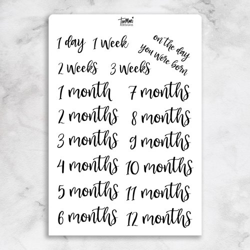 Baby Milestones Accomplishments Months Weeks Countdown Clear Vinyl Sticker Sheet | 17 stickers