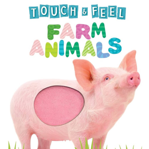Touch and Feel Farm Animals - Novelty Book - Children's Board Book - Interactive Fun Child's Book