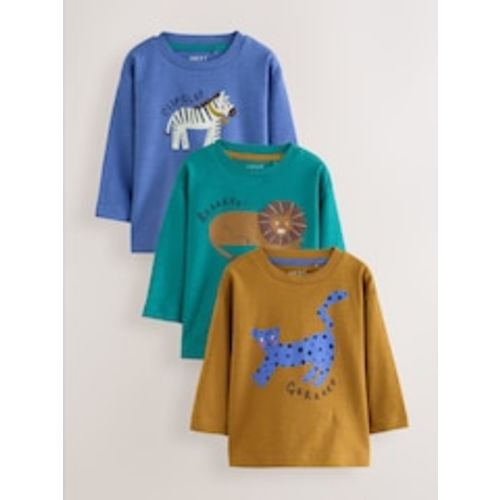 Buy Green/Blue Animal Long Sleeve Graphic T-Shirts 3 Pack (3mths-7yrs) from Next USA