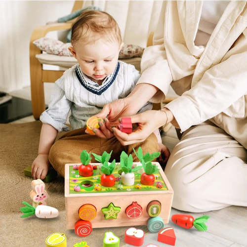 Montessori Carrot Wheels - So Much Learning from a Single Toy!