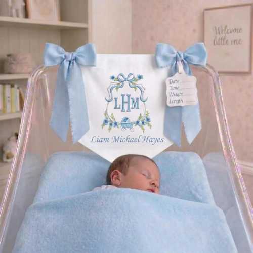 Custom Baby Banner, Welcome Banner, Hospital Door Sign, Baby Shower, Bassinet or Crib Announcement