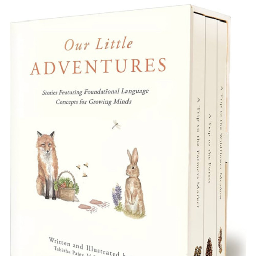 Our Little Adventures: Stories Featuring Foundational Language Concepts for Growing Minds (Tabitha Paige Children's Book Series)