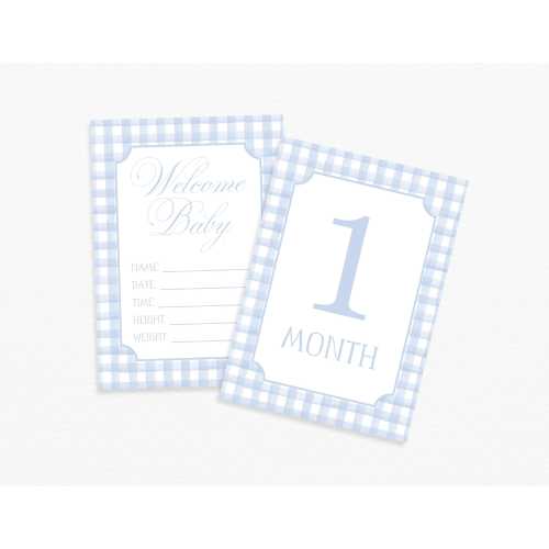 Watercolor Blue Gingham Milestone Cards, Baby Boy Milestone Cards, Baby Monthly Milestones, Baby Shower Gift, Baby Month Cards, Welcome Baby