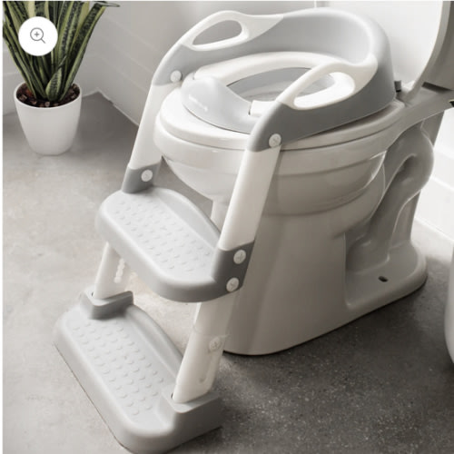 Potty Training Seat with 2 Step Ladder